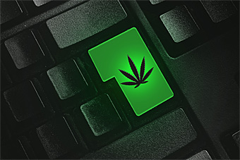 marijuana enter button