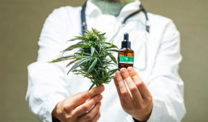 medical marijuana image
