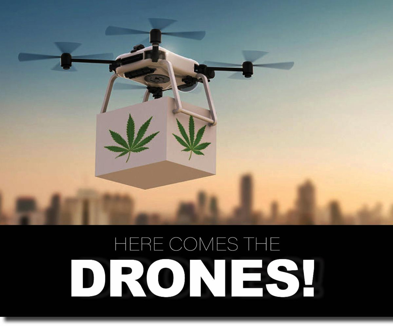 cannabis drones