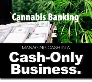 cannabis banking for cash only businesses