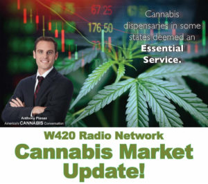 cannabis market update
