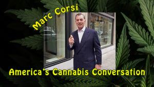 Marc Corsi / America's Cannabis Conversation
