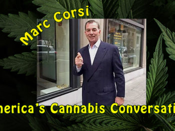Marc Corsi / America's Cannabis Conversation